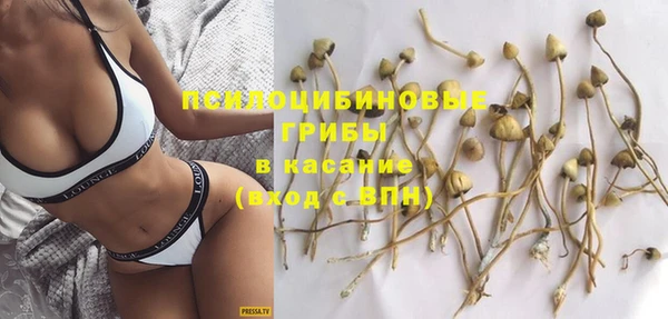 МДПВ Семилуки